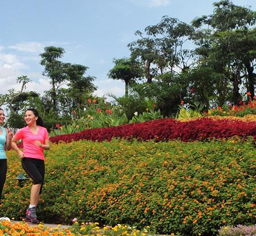Convenient tracks for jogging and cycling around the complex.